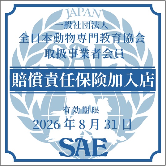 2025年度賠償責任保険加入ステッカー2509_2608